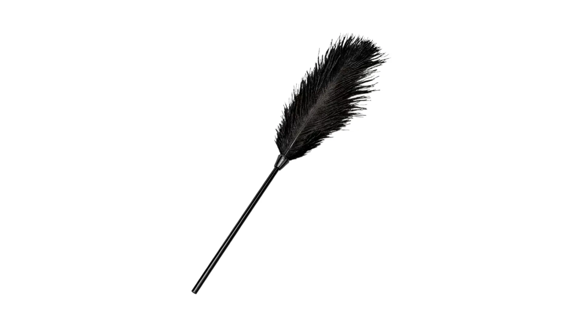 Fetish Love Black Feather Tickler - čierne pierko na stimuláciu 33 cm